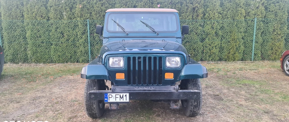 Jeep Wrangler cena 46000 przebieg: 123660, rok produkcji 1994 z Ruda Śląska małe 172